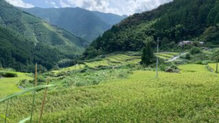 いの町吾北地区 地域おこし協力隊募集！（農業振興・半農半Ｘ）